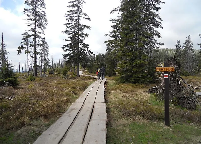 Previt Janek Bed & Breakfast