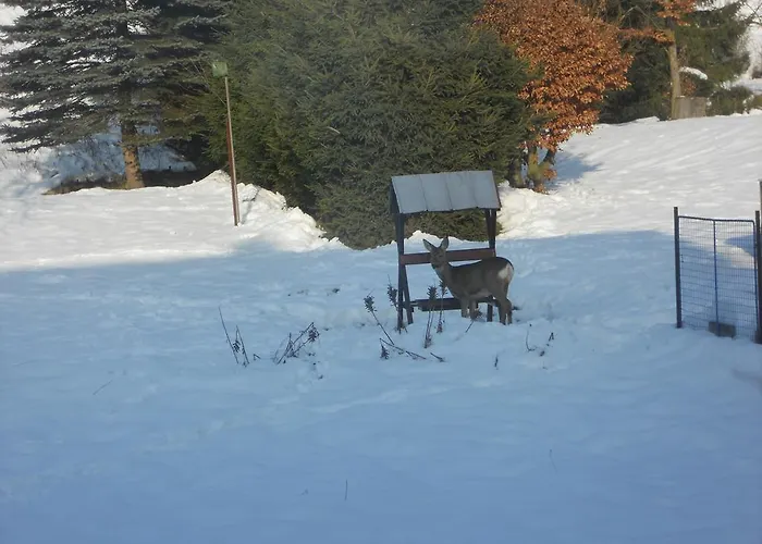 Bed & Breakfast Previt Janek